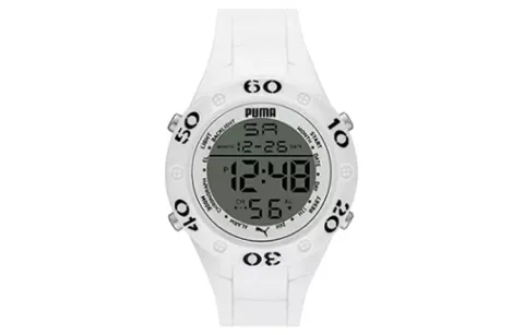 PUMA Wrist Watches Quartz Movement Plastic Strap 49mm Gray Dial Men's Watches 30m Water Resistant