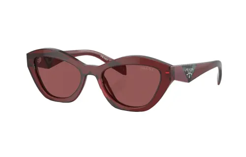 PRADA Butterfly Frame Sunglasses