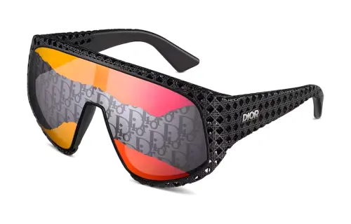DIOR Oversized Frame Sunglasses