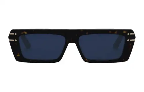 DIOR Sunglasses DIORsignature S2U