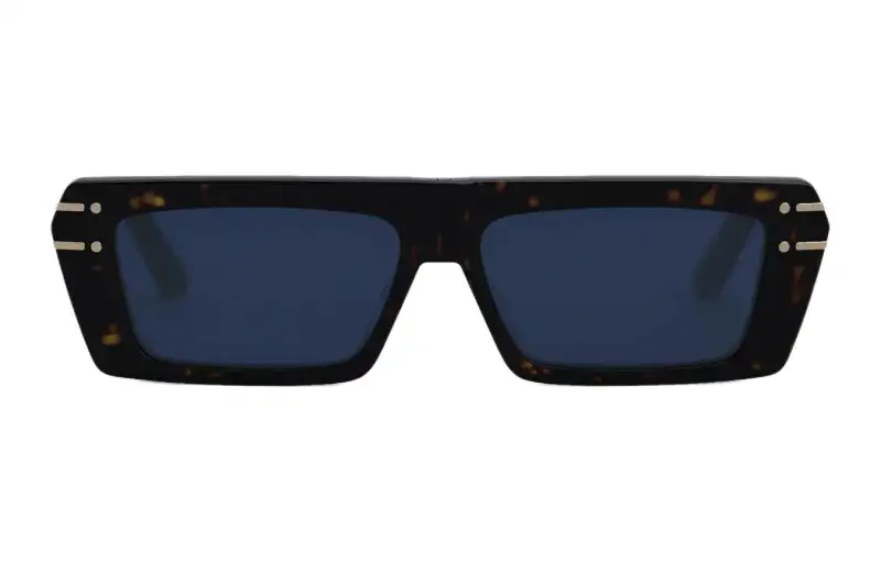 DIOR Sunglasses DIORsignature S2U