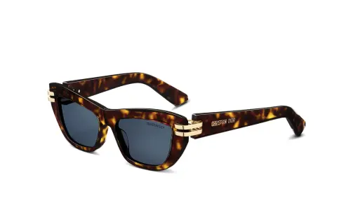 DIOR Eyewear Butterfly Frame Sunglasses