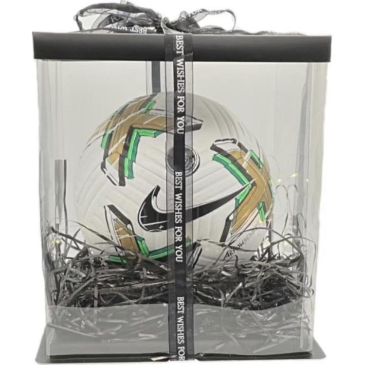 Nike Soccer Ball