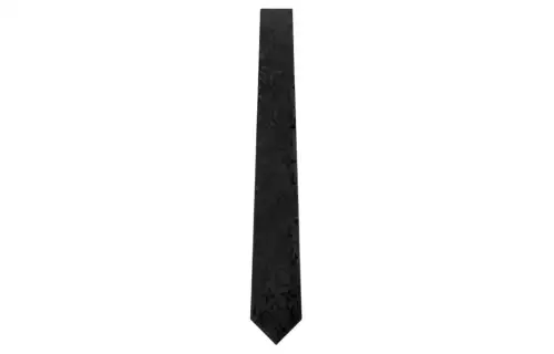 LOUIS VUITTON MNG Ties Men's