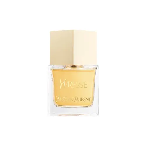 SAINT LAURENT Drunk Love Women's