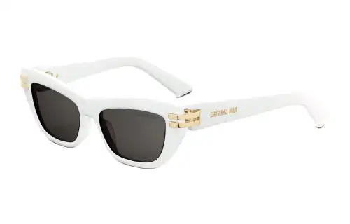 DIOR Eyewear Butterfly Frame Sunglasses