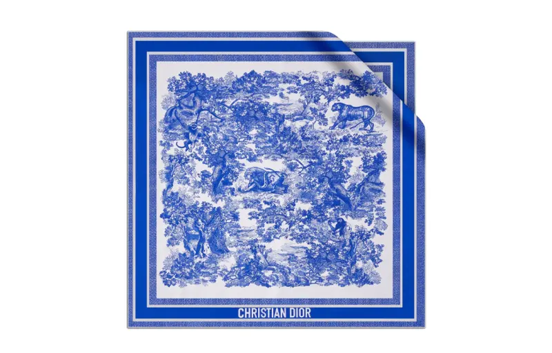 DIOR Scarves Unisex