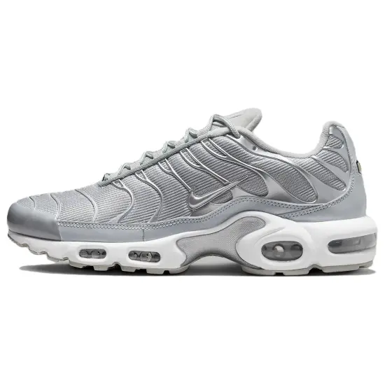 Nike Air Max Plus Metallic Silver