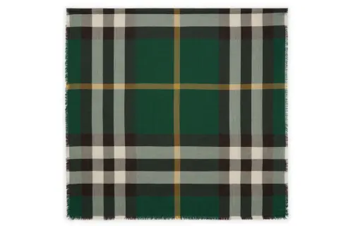 Burberry Check-Printed Frayed-Edge Scarf