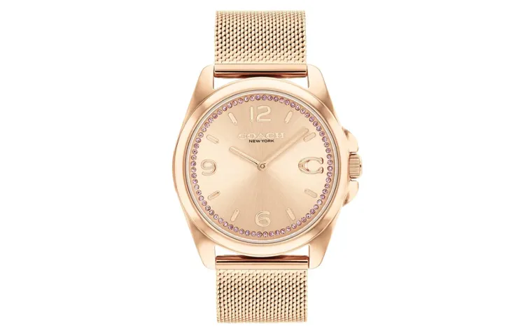 COACH Wrist Watches Quartz Movement Stainless Steel Strap 36mm Gold Dial Women's Watch Waterproof