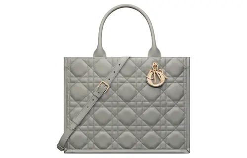 DIOR BookTote Cow Leather Handbag Medium Women's Rock Gray