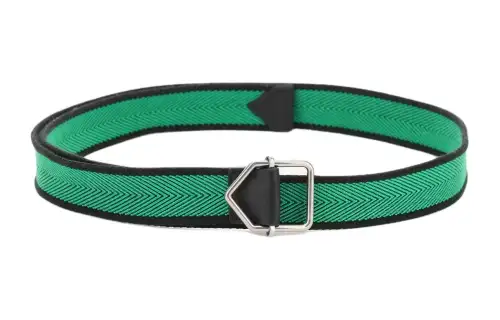 Bottega Veneta V Stripe Detail Smooth Buckle Leather Belts Men's Green Width 3CM