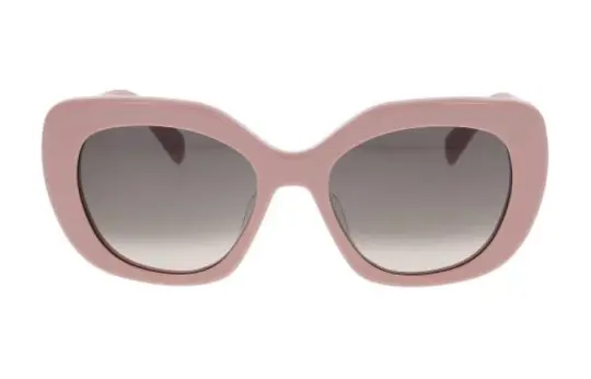 CELINE Eyewear Butterfly Frame Sunglasses