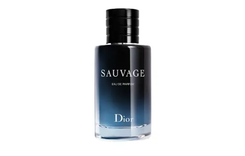 DIOR Dior Wilderness Men's Perfume Oriental Fragrance Fragrance EDP Cosmetics