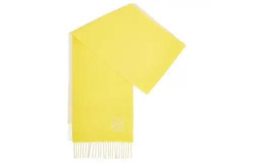 LOEWE Pre Owned 2010s Logo embroidered Cashmere Scarf