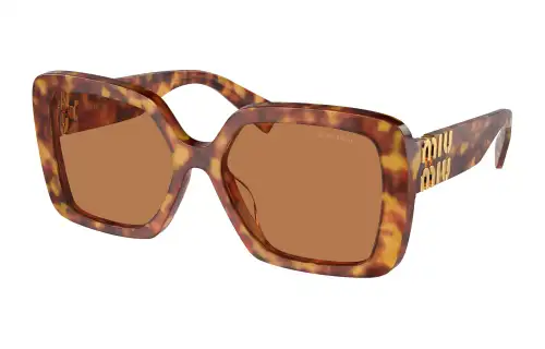 tinted-lenses square-frame sunglasses