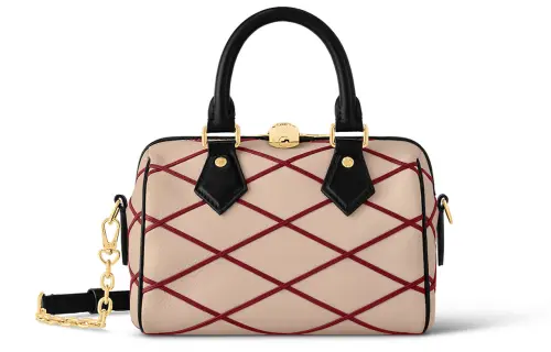 LOUIS VUITTON Speedy Bandoulière 20