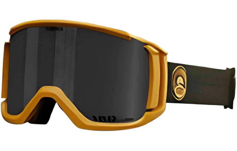 GIRO Revolt Anti fog Unisex Ski Goggles