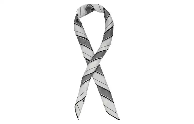 Burberry Silk Scarves Women's Gray White