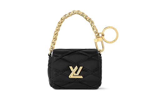 LOUIS VUITTON GO-14 Earphone Case