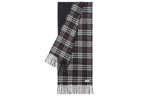 Burberry Check-Printed Fringed-Edge Reversible Scarf