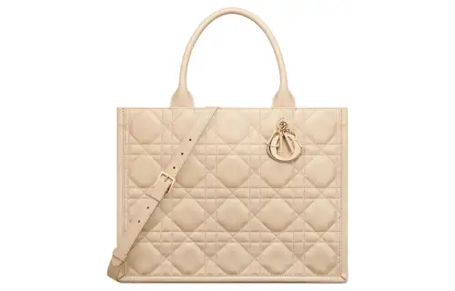 DIOR BookTote Calfskin Tote Bag, Shopping Bag, Handbag Medium Women's Pink Beige