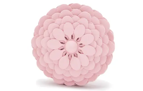 LOEWE Accessories Women's
