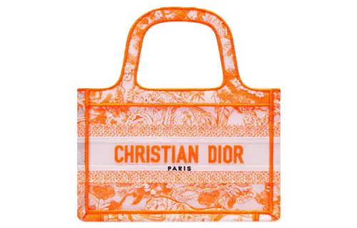 DIOR BookTote Transparent Effect Canvas Shoulder Bag, Crossbody Bag, Handbag Mini Women's Fluorescent Orange