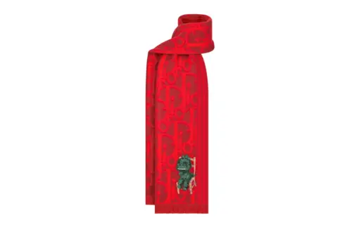 DIOR Knit Scarves Men's