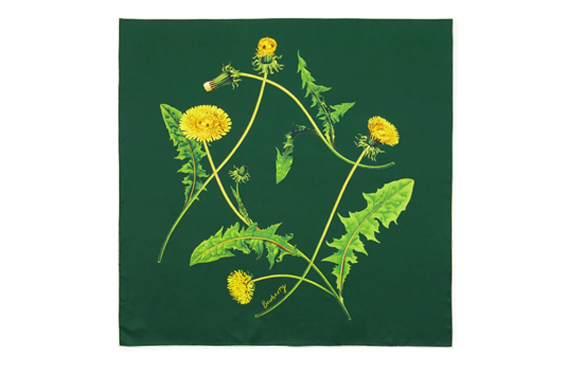 Burberry Mulberry Silk Scarves Men's Green