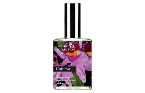 DEMETER Cattleya Orchid