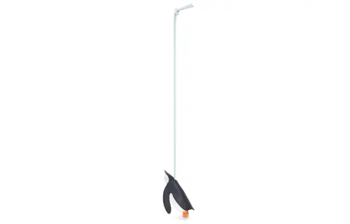 LOEWE Charms Women's