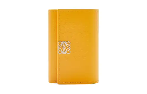 LOEWE Anagram Calfskin Card Holder, Wallet Small Women's Sunflower