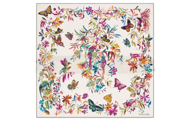 DIOR Scarves Women's Multicolor