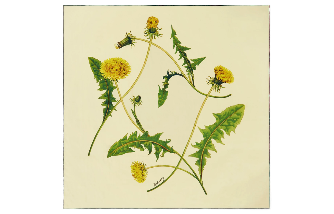 Burberry Dandelion-print Square Scarf
