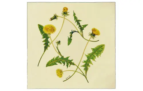 Burberry Dandelion-print Square Scarf