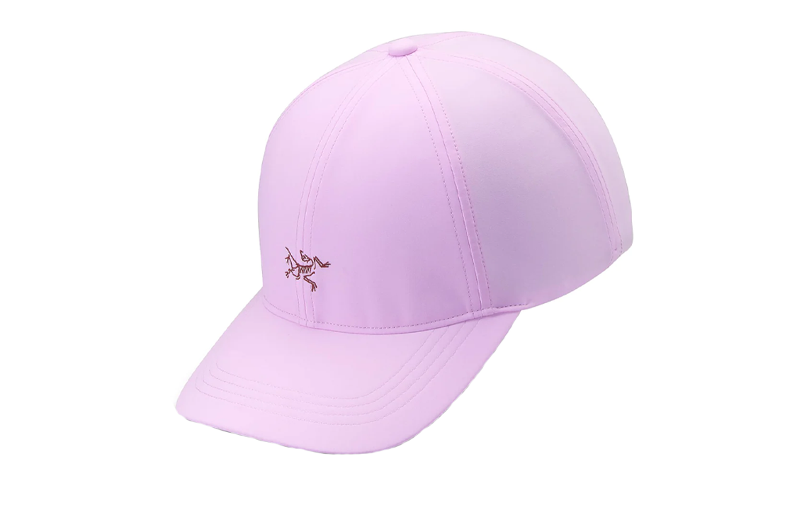 Кепка Arcteryx Arcteryx Logo (многоцветная)