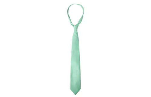 Bottega Veneta Ties Men's Green