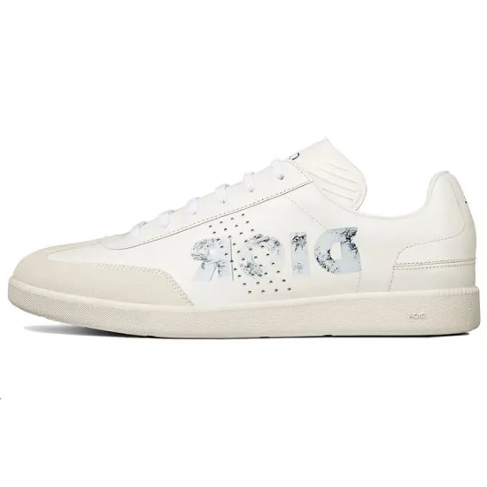 DIOR B01 Daniel Arsham Logo