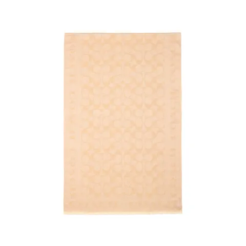 COACH Scarves Women's Champagne