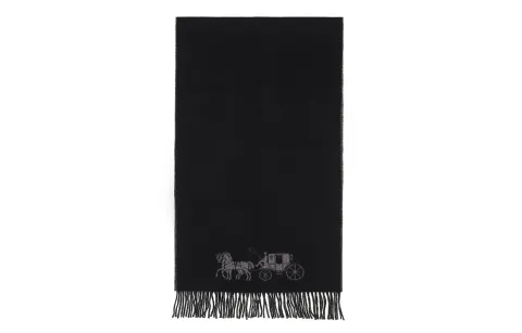 COACH Knit Scarves Unisex