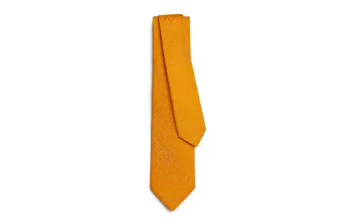 HERMES Ties Men's