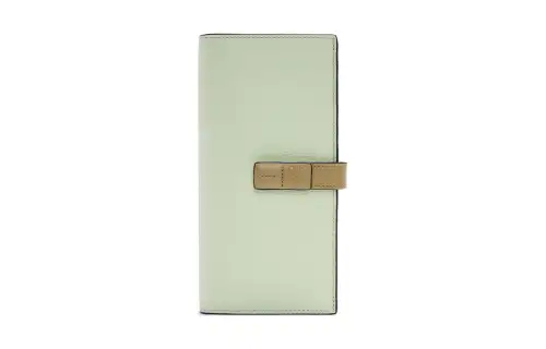 LOEWE Cow Leather Wallet Large Women's Spring Jade & Earth Green