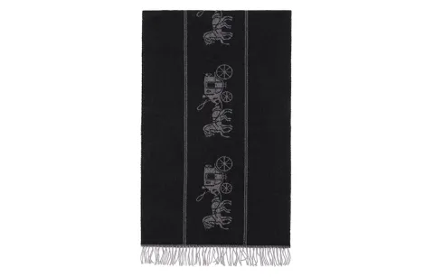 COACH Knit Scarves Women's Black