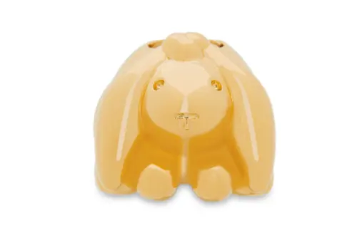 LOEWE Charms Women's