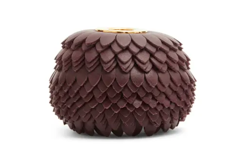 LOEWE Accessories Women's Brown