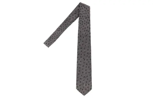 Bottega Veneta Ties Men's
