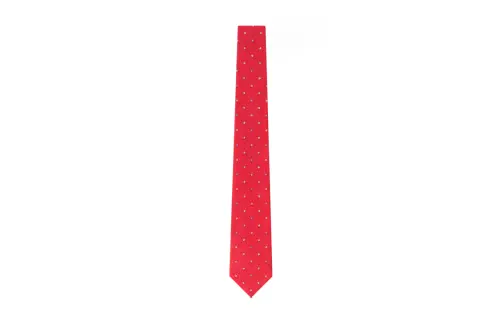LOUIS VUITTON Polka dot vivienne tie men's red