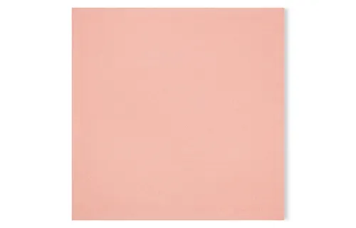 LOUIS VUITTON Shawls Unisex Pink