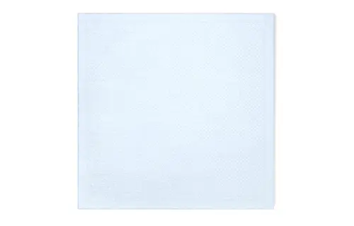 LOUIS VUITTON Evermore Shawls Women's Blue